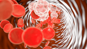 Red and white blood cells in artery for pharma tech development and clinical drug trials